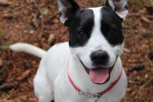 Photo of Athena