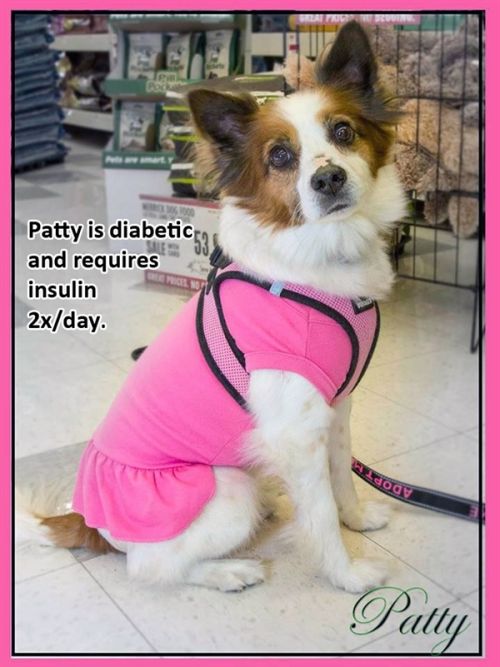 . Patty .