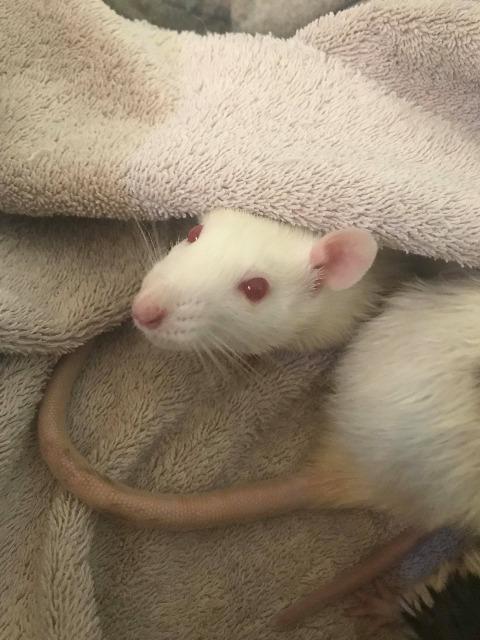 . Zoe .