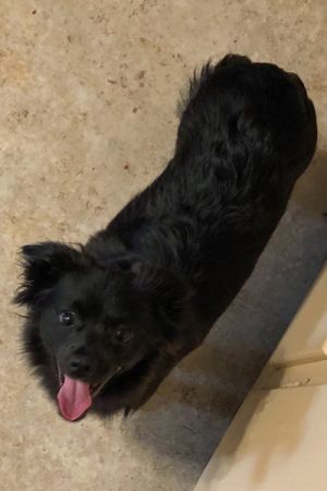 . Zeus .