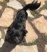 . Zeus .