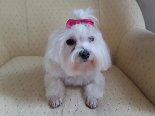 . Lola .