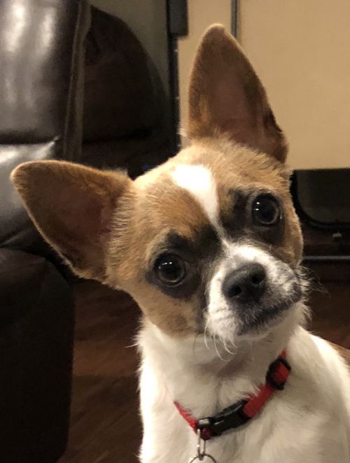 . Max .