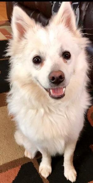 . Takoda .