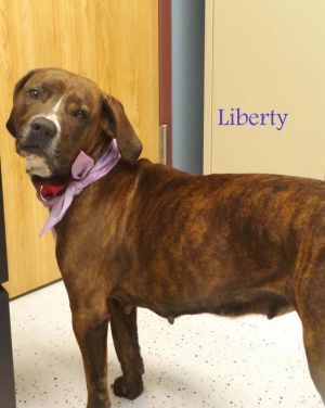 . Liberty-Pups4Parole .