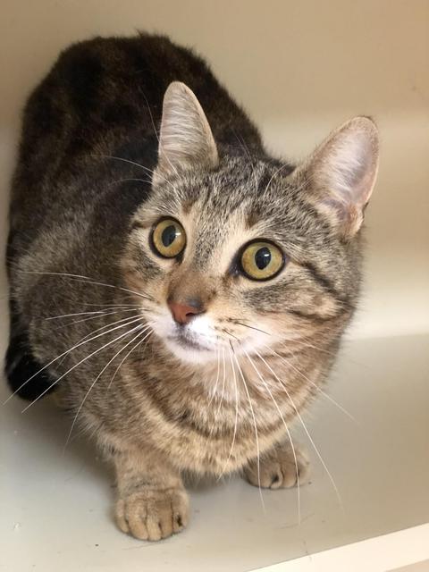 . O'Della! At PetSmart! .