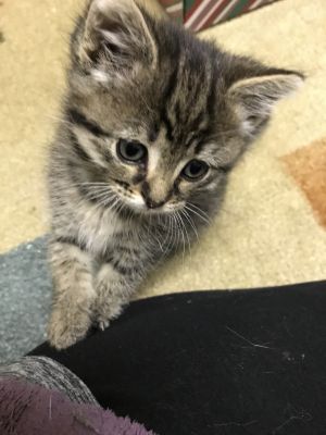 . Millie