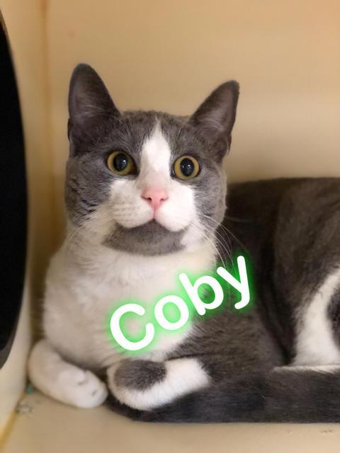 . Coby! At PetSmart! .