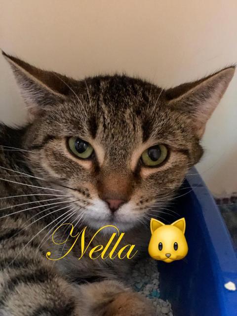 . Nella .