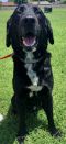 . Bubba .