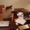 . KITTENS .