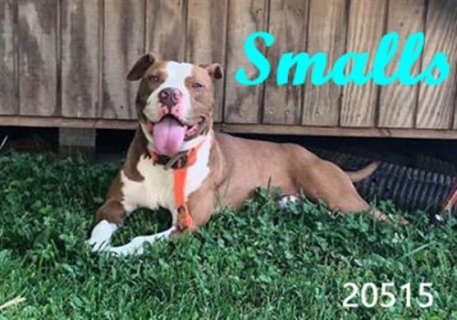 . Smalls .