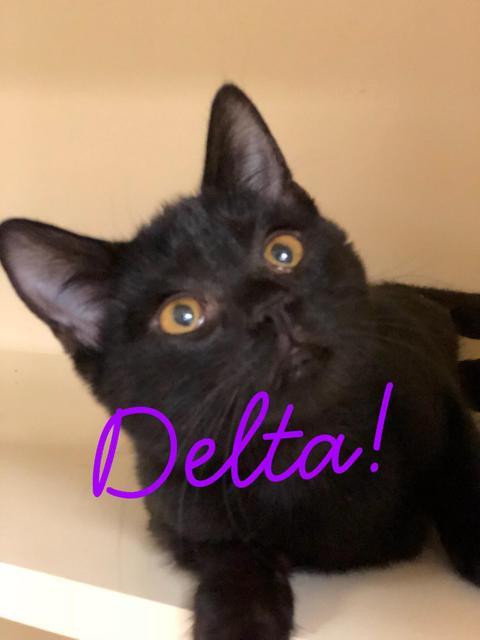 . Delta - young! .