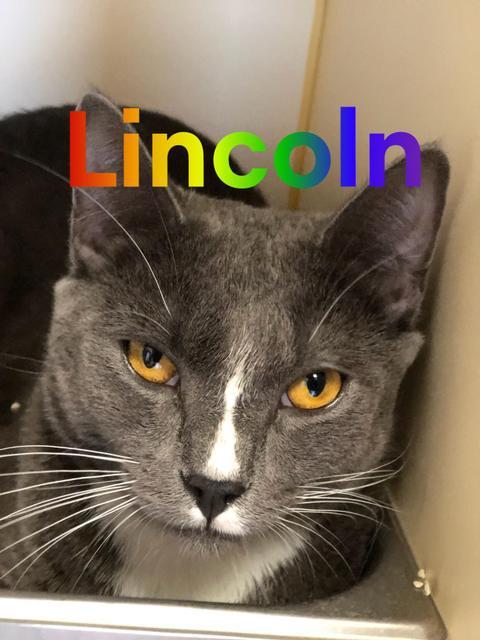 . Lincoln .
