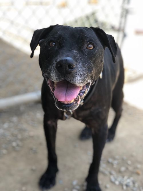 . Lady- Forever Foster! .