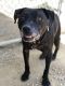 . Lady- Forever Foster! .