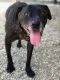 . Lady- Forever Foster! .