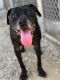 . Lady- Forever Foster! .