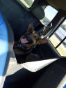 . Racer (aka Speed Racer) .