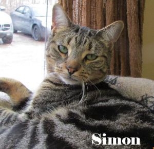 . Simon .