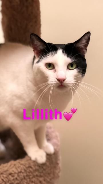 . Lillith .