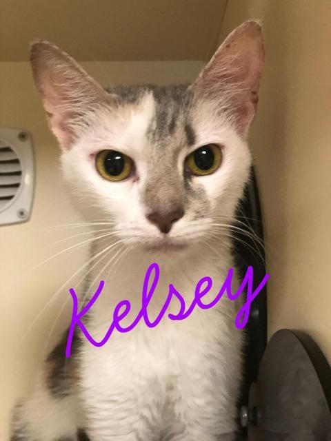 . Kelsey! .