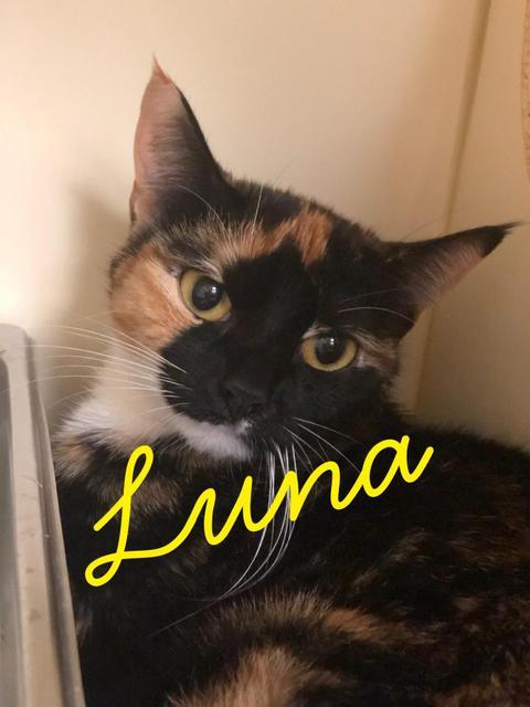 . Luna .