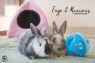 . Faye & Maximus .