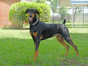 . Ellie Mae .