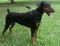 . Ellie Mae .