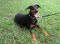 . Ellie Mae .