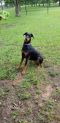 . Ellie Mae .