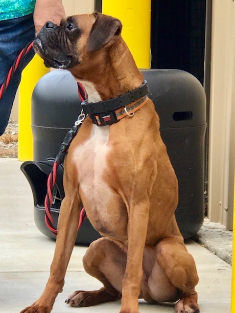 . Tyson .