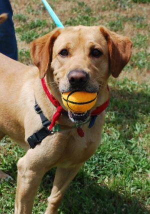 Photo of Louie