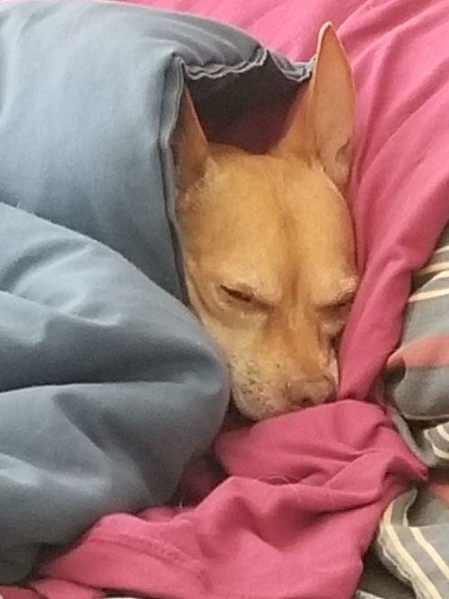 . CARLOS .