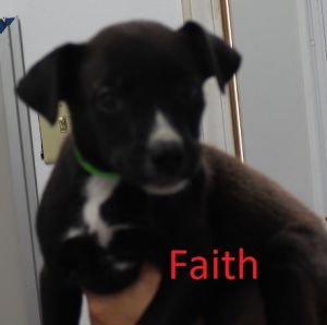 . Faith .