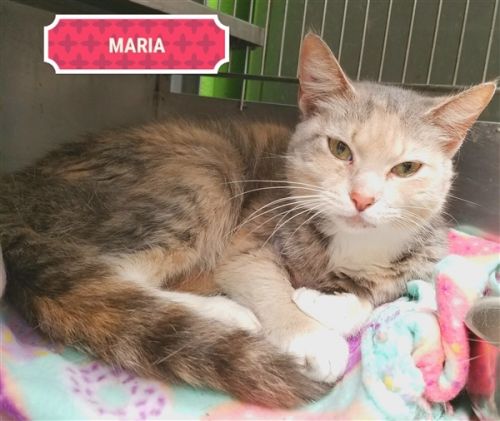 . Maria .