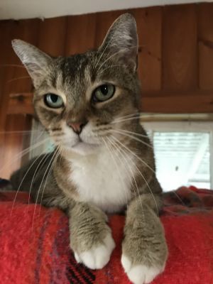 . Bootsie .
