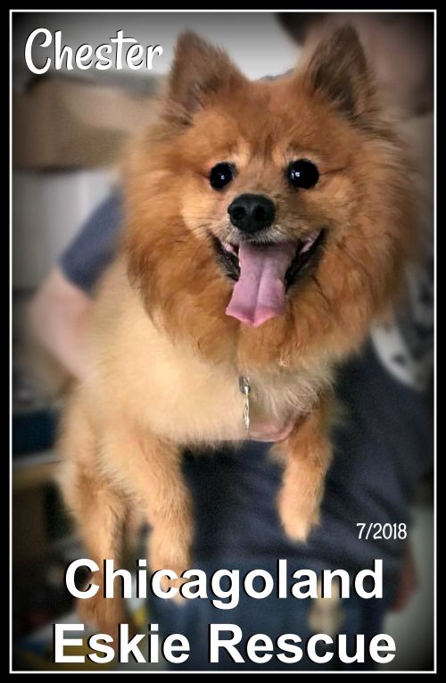 Chester