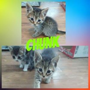 . Chunk .
