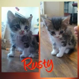 . Rusty .