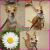. Daisy .