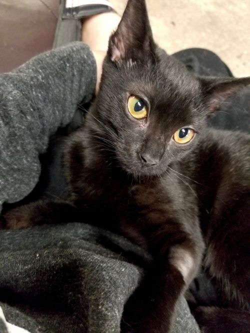 Photo of Roxy