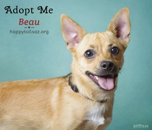 . Beau .