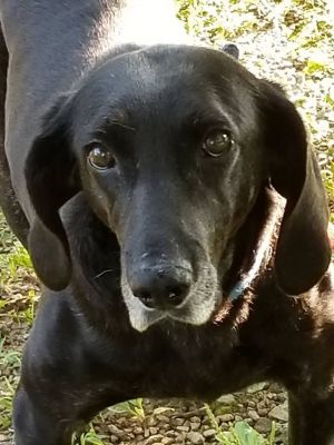 . Josie .