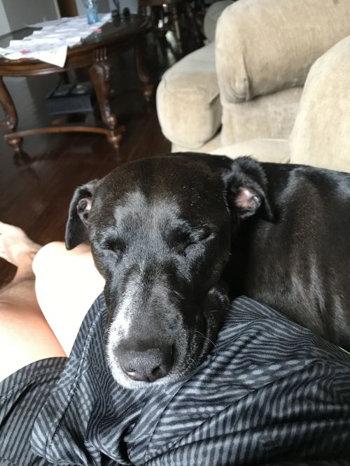. Chloe .