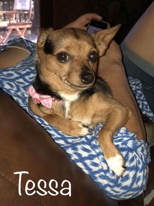 . TESSA .