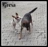 . Gresa (arriving July 20th, 2018) .