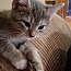 . Aubrei-ADOPTED! .