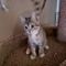. Aubrei-ADOPTED! .